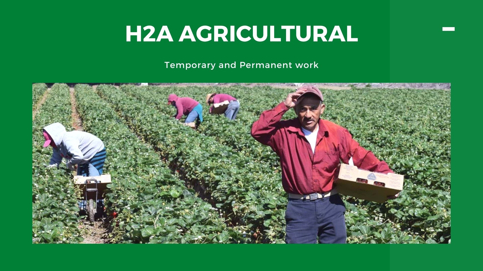 H2A AGRICULTURAL